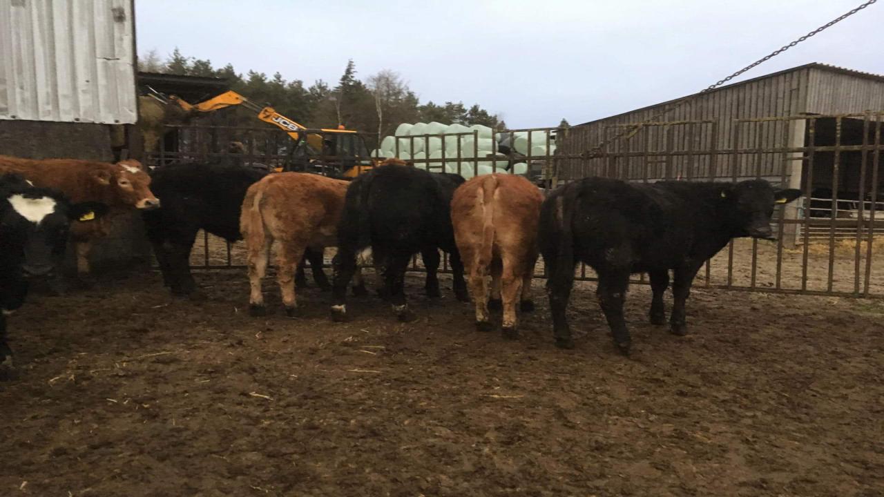 Richardson and Smith Agricultural Services