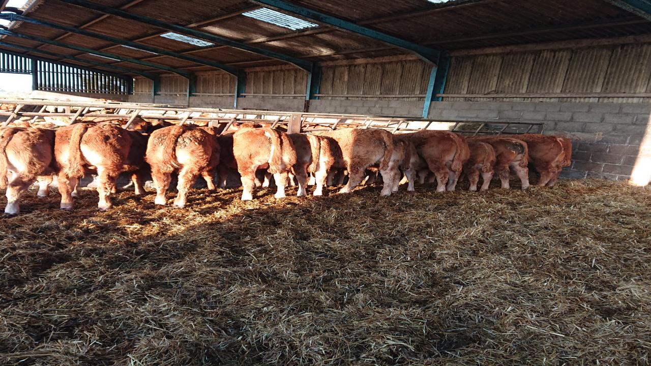 Richardson and Smith Agricultural Services