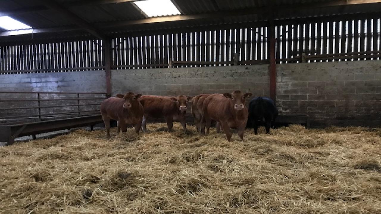 Richardson and Smith Agricultural Services