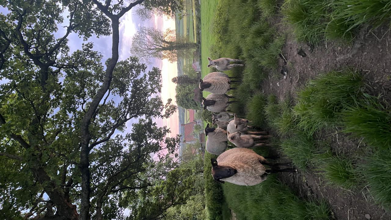 Richardson and Smith Agricultural Services